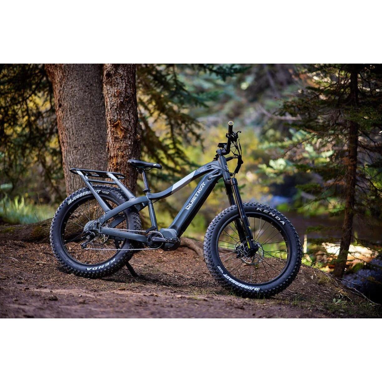 Fat Tire Electric Bikes