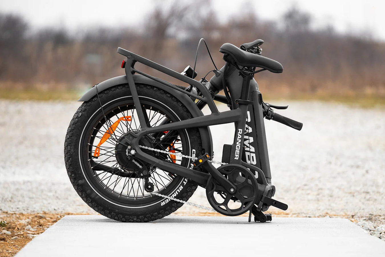 Electric Folding Bikes