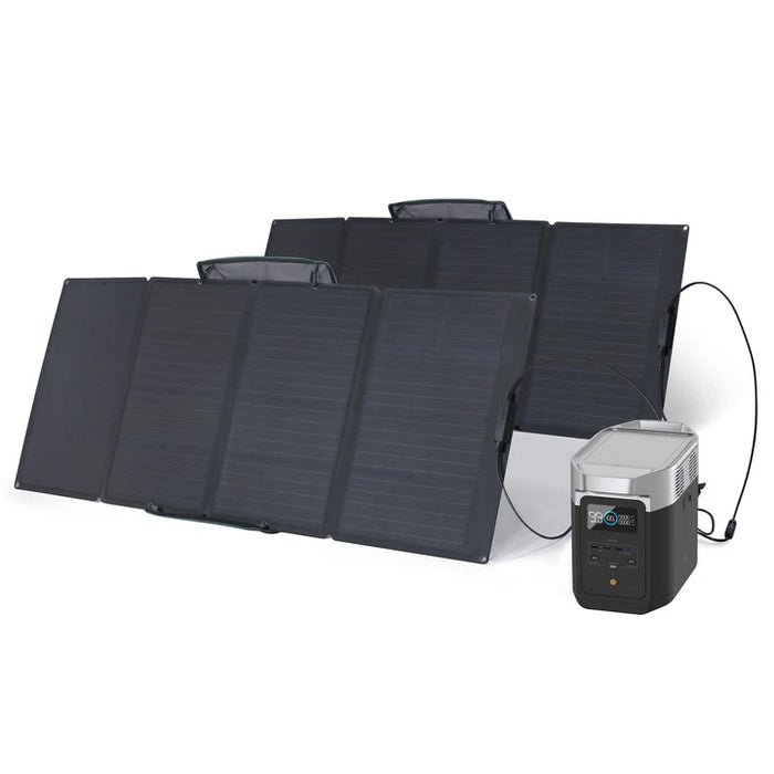 EcoFlow DELTA 2 + 2*160W Portable Solar Panel