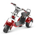 4000w-40Ah Swinging Trike Dual Drive All Terrain T7.4-SOVERSKY