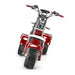 4000w-40Ah Swinging Trike Dual Drive All Terrain T7.4-SOVERSKY