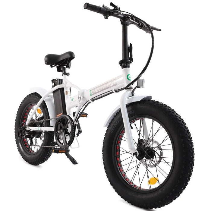 Ecotric 36V Fat Tire Portable and Folding Electric Bike-Ecotric