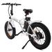 Ecotric 36V Fat Tire Portable and Folding Electric Bike-Ecotric