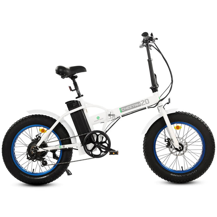 Ecotric 36V Fat Tire Portable and Folding Electric Bike-Ecotric