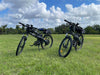 Ecotric Seagull Electric Mountain Bicycle-Ecotric