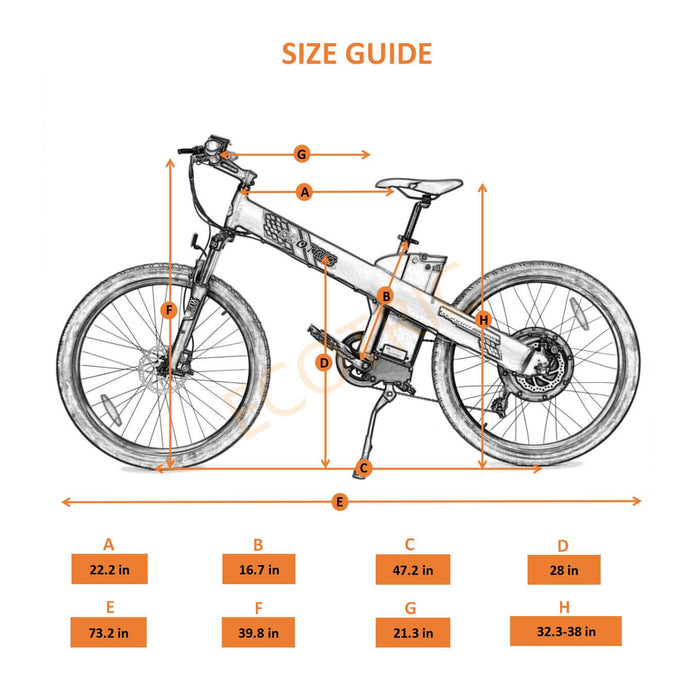 Ecotric Seagull Electric Mountain Bicycle-Ecotric