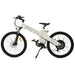 Ecotric Seagull Electric Mountain Bicycle-Ecotric