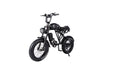 Electric Fat Tire Bike Shimano 7-Speed Titan 500-SOVERSKY