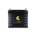 Lion UT 250 Battery (12V, 20Ah, LiFePO4)-LION ENERGY