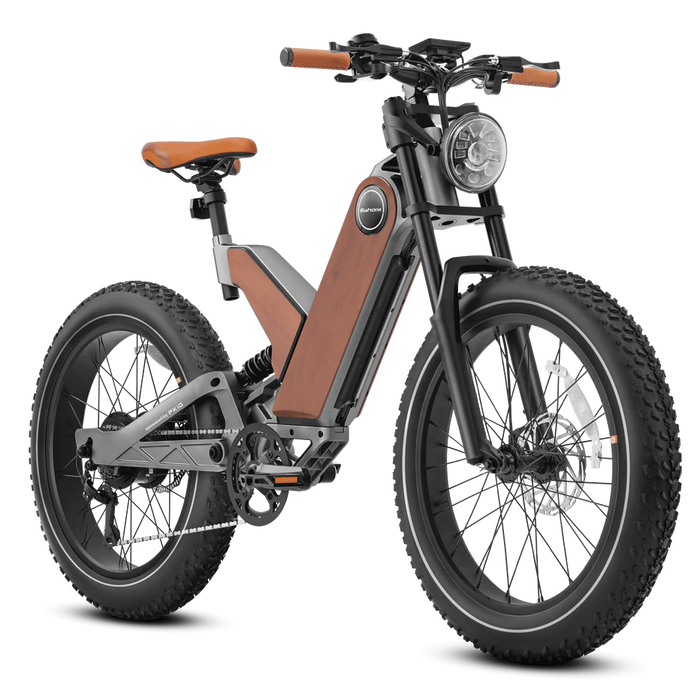 Eahora P5 II Electric Bike