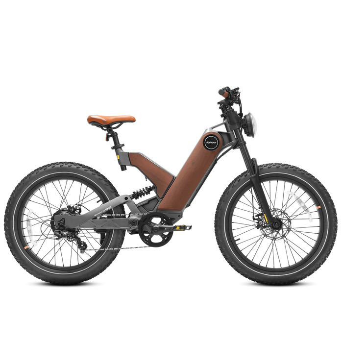 Eahora P5 II Electric Bike