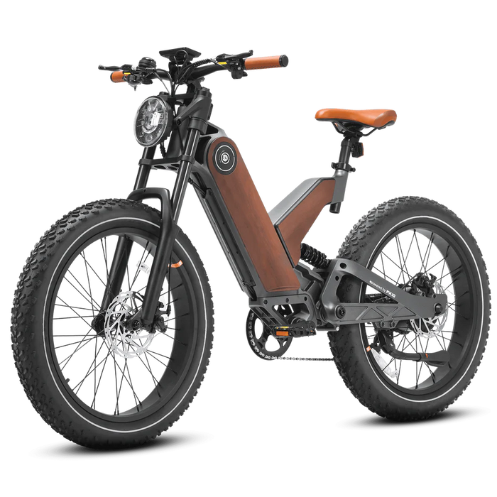 Eahora P5 II Electric Bike