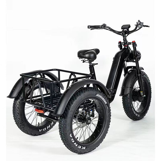 SoverSky Electric Cargo 3 wheels Bike-TEB75-4813-SOVERSKY