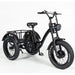 SoverSky Electric Cargo 3 wheels Bike-TEB75-4813-SOVERSKY