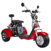 SoverSky Electric Mobility Adult Trike 2000w T7.1/T7.2-SOVERSKY