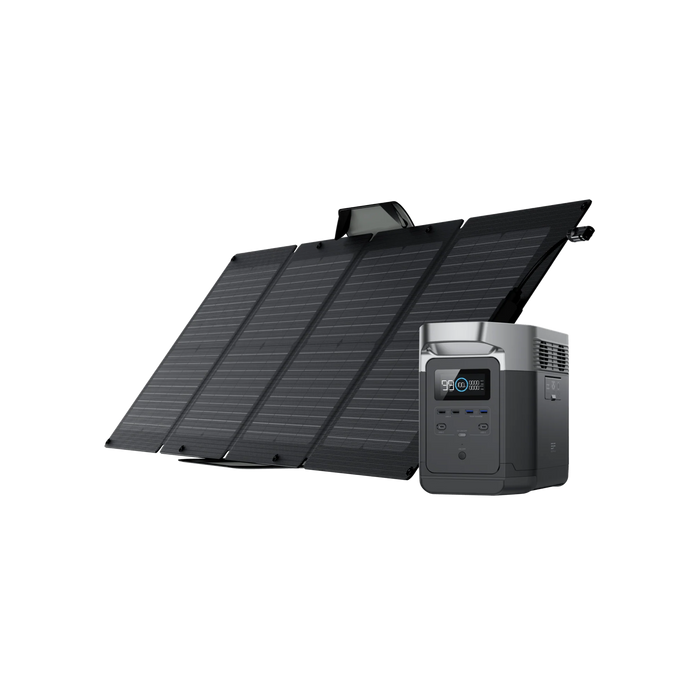 EcoFlow DELTA 1300 + 1*110W Solar Panel