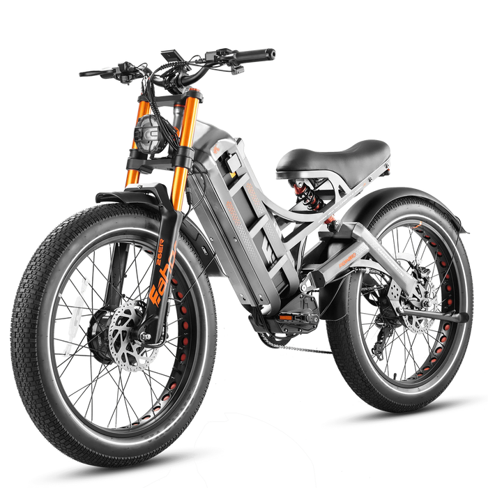 Eahora Romeo Pro II Electric Bike